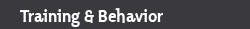 Training and Behavior