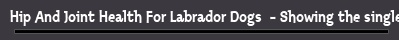 Hip And Joint Health For Labrador Dogs  - Showing the single result