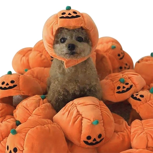 Purrfect Pumpkin Pet Hat: Adorable Halloween Costume For Cats And - $9.99
