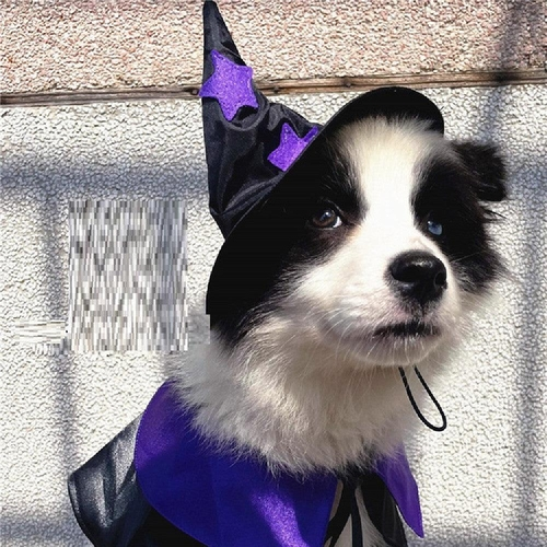 Enchanting Pet Halloween Wizard Costume Set - $17.95