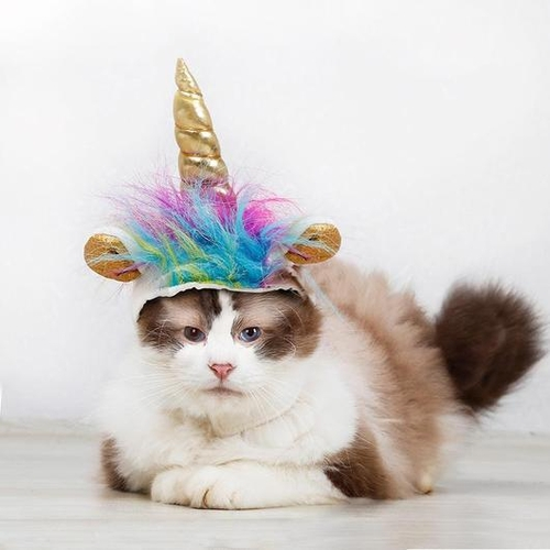 Unicorn VS Devil Pets Halloween Costume Hats - $28.00