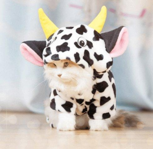 Cozy Cow Pet Costume Sweater - Warm Winter Clothing For Dogs And Cats - $15.00