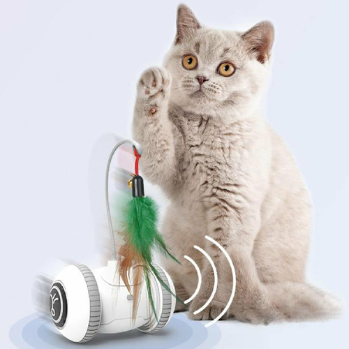 Interactive Cat Toy With Interchangeable Pet Feather Toys - $33.00